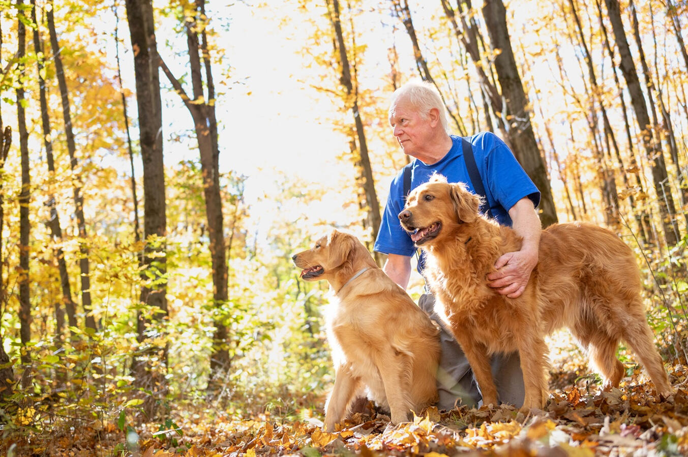 An older gentleman poses in the forest on an autumn day with his two golden labs. Photo by Paul Detzer.